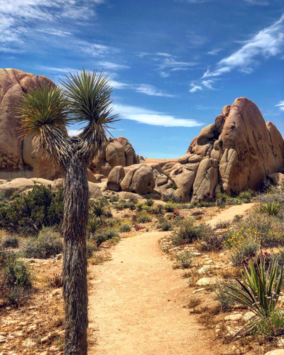 5 Southern California Trails We LOVE.